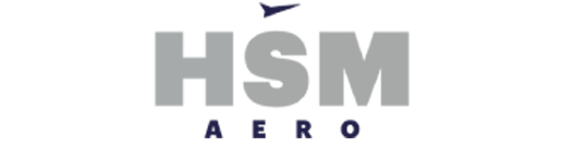 Hsm logo